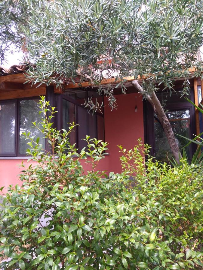 Cuntarati Nature Tourism - Simeto Etna Bronte Luaran gambar