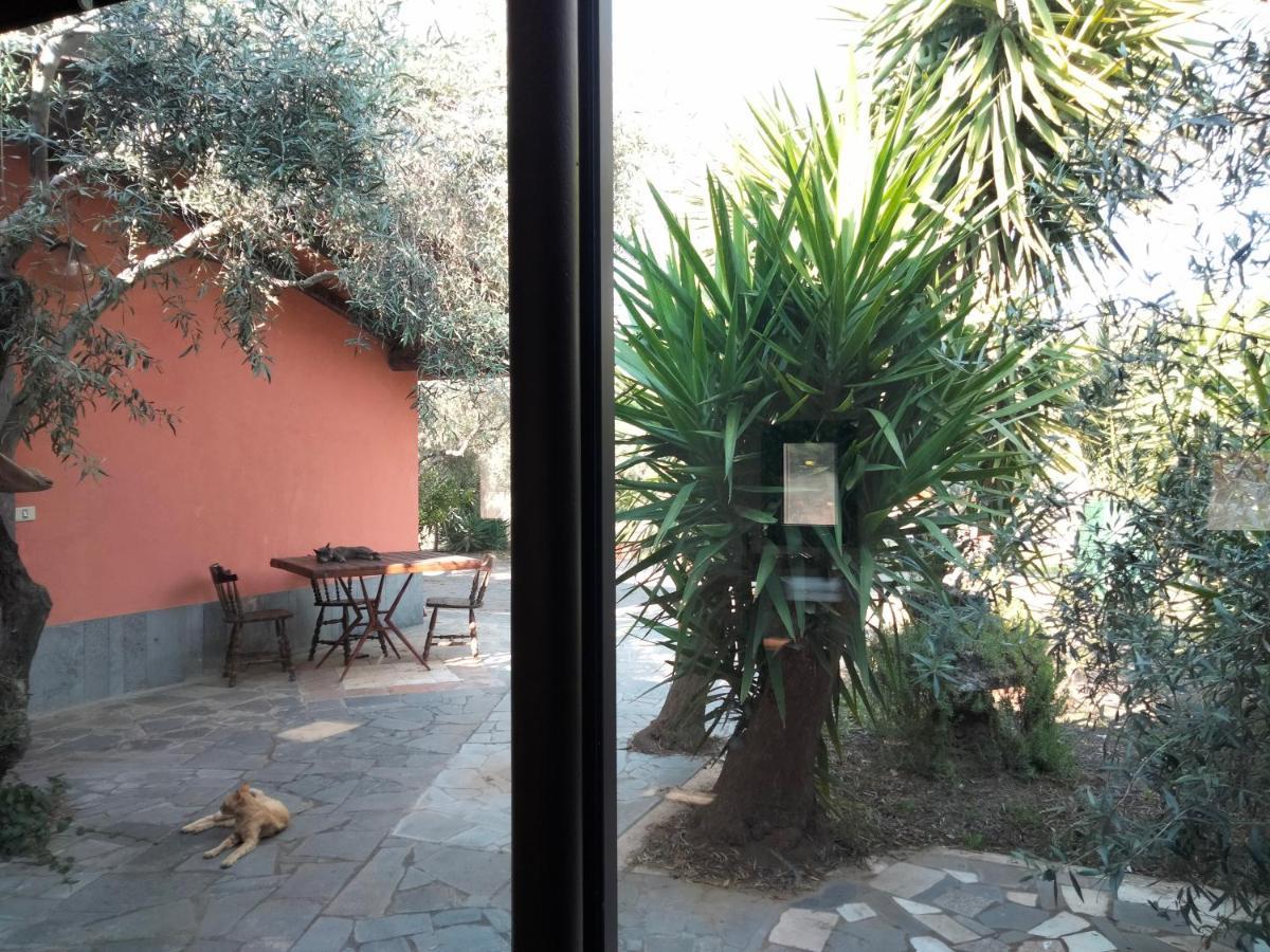 Cuntarati Nature Tourism - Simeto Etna Bronte Luaran gambar