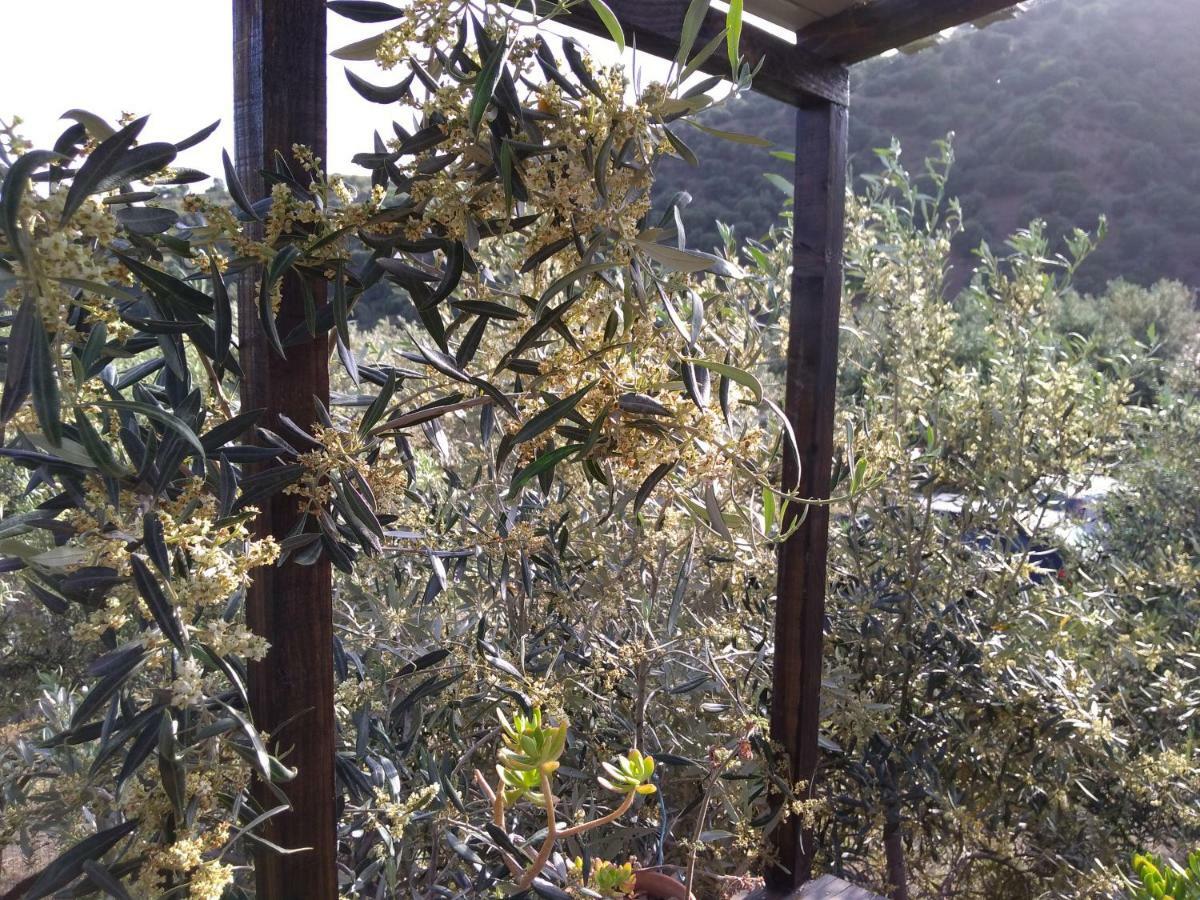 Cuntarati Nature Tourism - Simeto Etna Bronte Luaran gambar